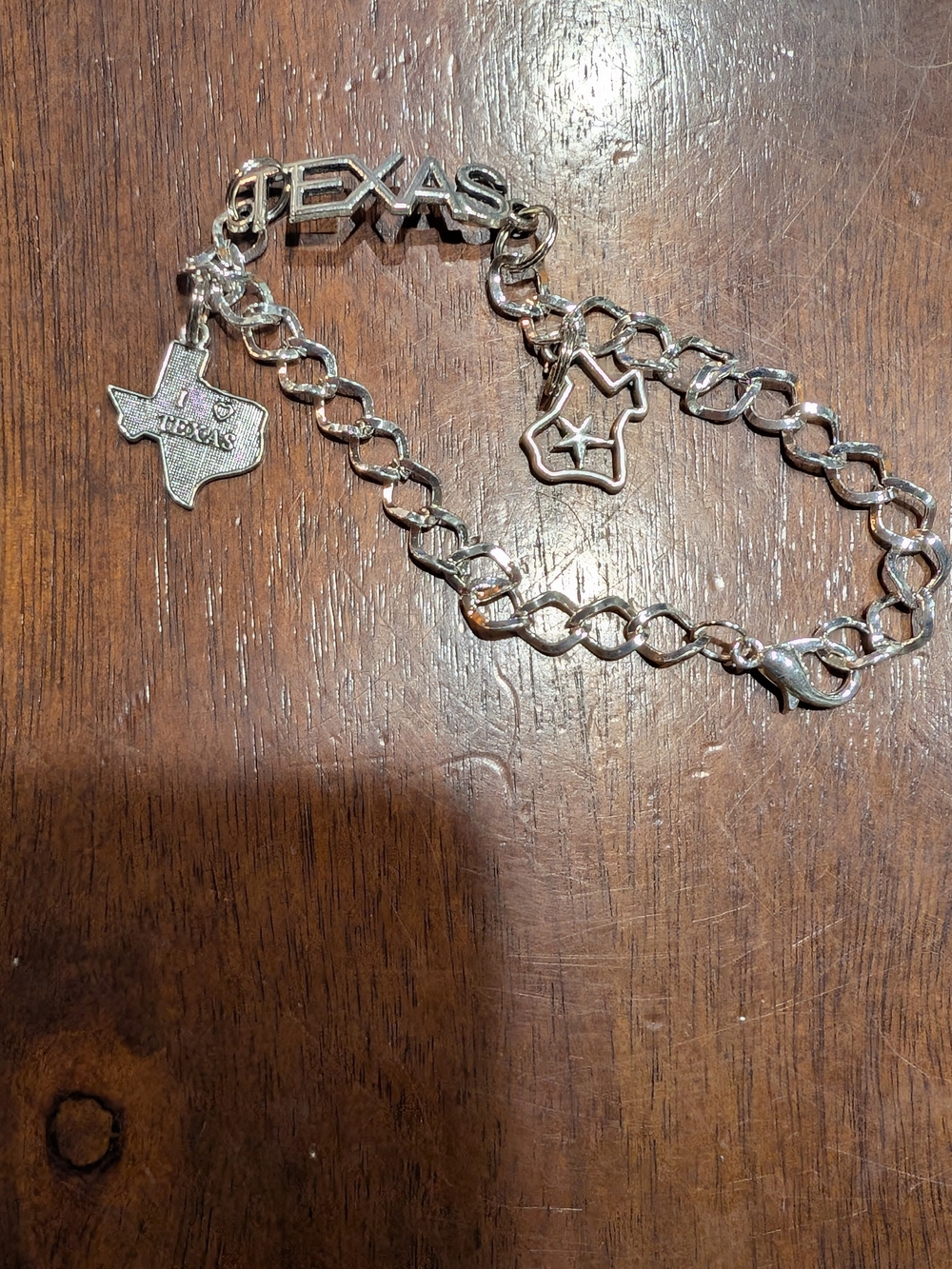 Texas Charm Bracelet Silver Tone Western Jewelry